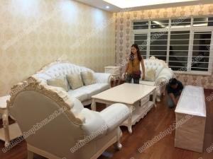 sofa-co-dien-8815