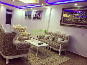 sofa-co-dien-SF956