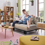 Mẫu sofa giường thông minh kích thước nhỏ phù hợp với các phòng khách chung cư